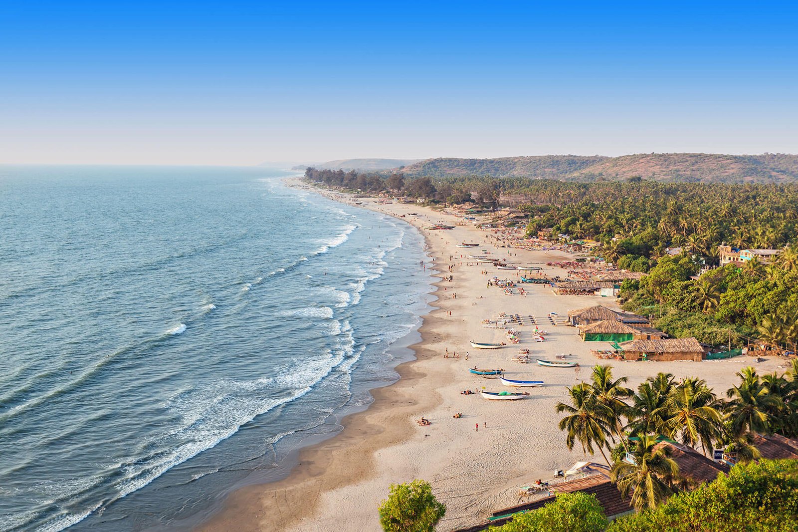 goa3